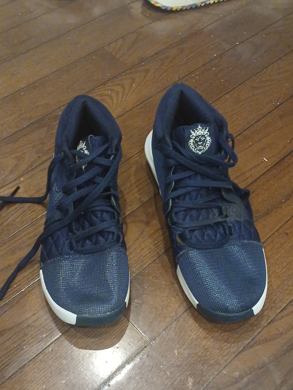 Men's Navy Athletic Nike Lebron Basketball Shoes